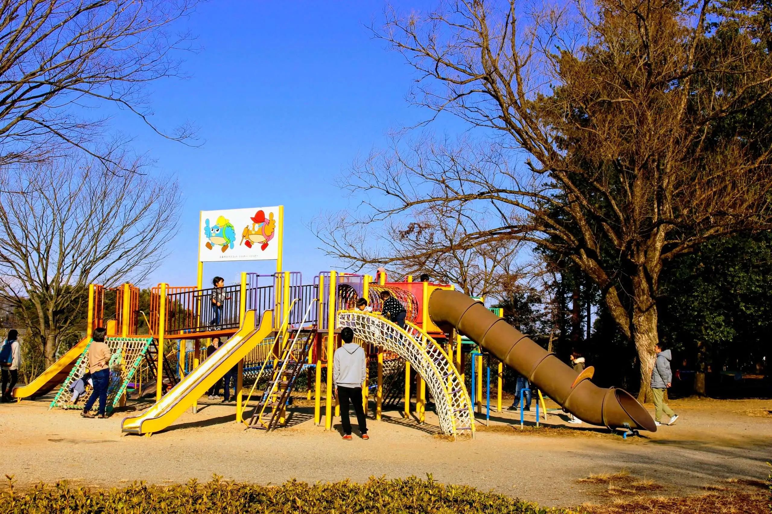 🌳 히다카 종합공원 (日高総合公園) 이미지 7